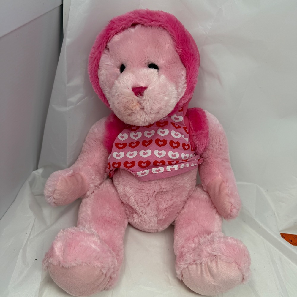 Shanghai Toy Time Enterprises Pink Teddy Bear Hearts Hooded Plush Valentine Day